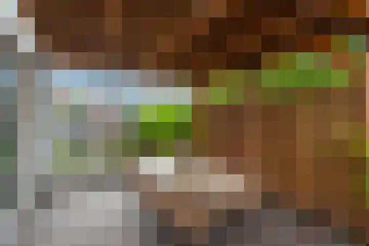 Lijster 3 a Spanbroek thumbnail 38