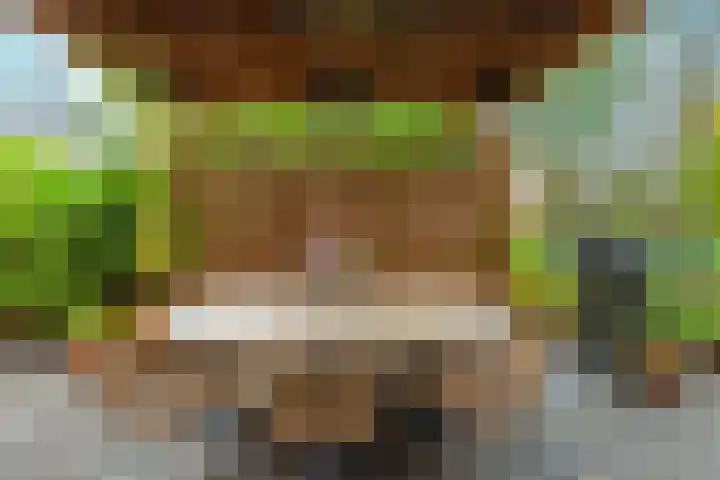 Lijster 3 a Spanbroek thumbnail 39