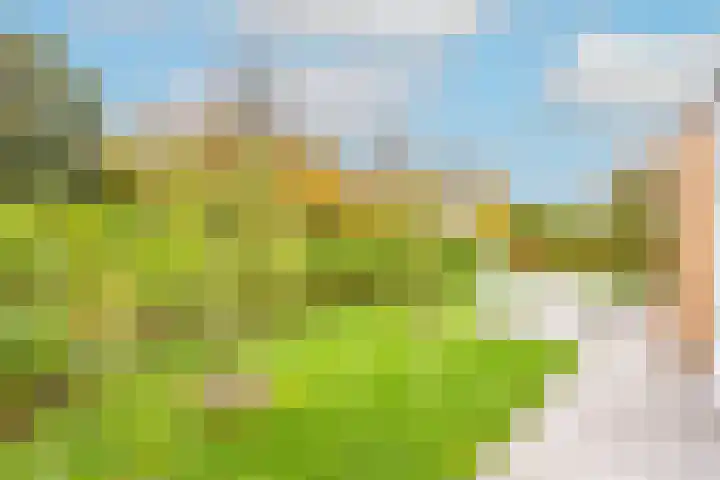 Lijster 3 a Spanbroek thumbnail 40