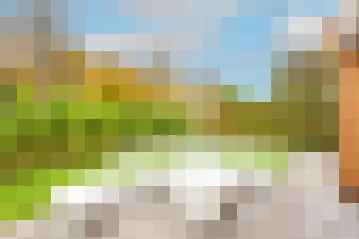 Lijster 3 a Spanbroek thumbnail 41