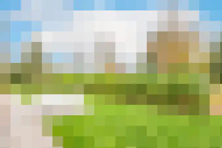 Lijster 3 a Spanbroek thumbnail 42