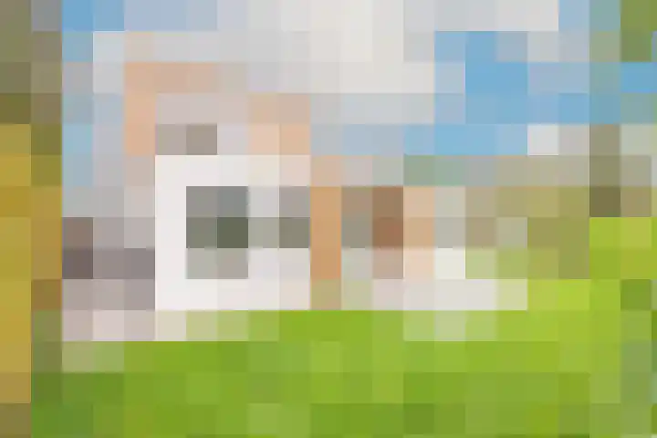 Lijster 3 a Spanbroek thumbnail 43