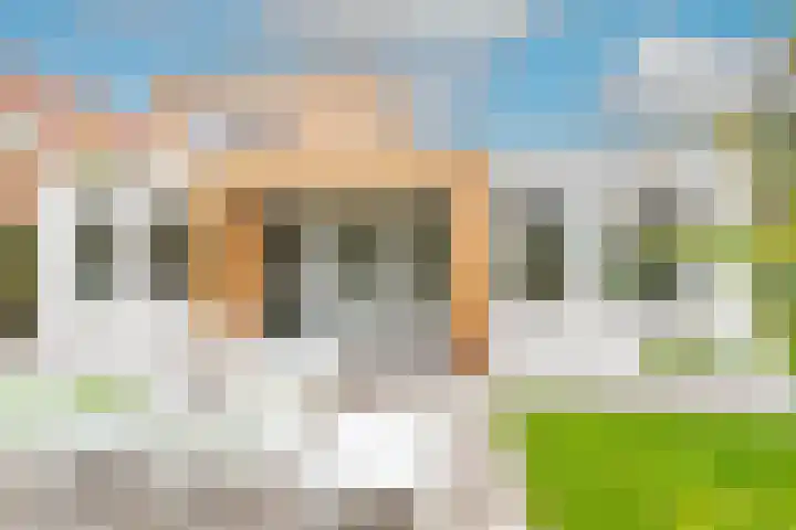 Lijster 3 a Spanbroek thumbnail 44
