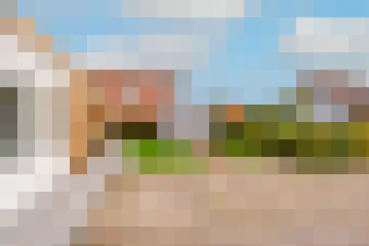 Lijster 3 a Spanbroek thumbnail 47