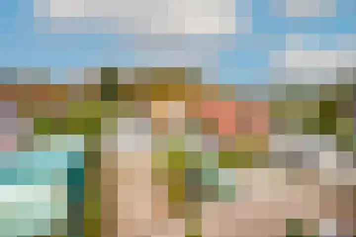 Lijster 3 a Spanbroek thumbnail 48