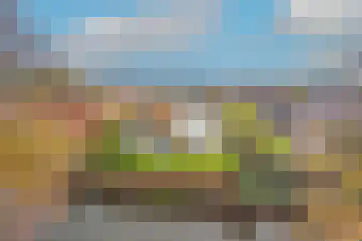 Lijster 3 a Spanbroek thumbnail 50