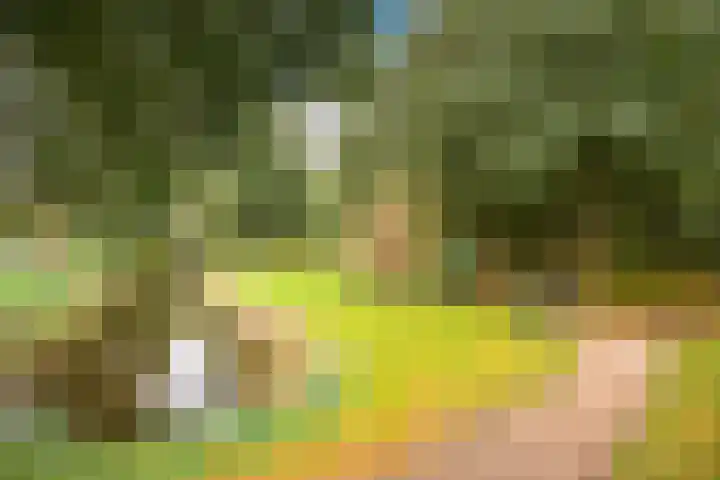 Lijster 3 a Spanbroek thumbnail 51