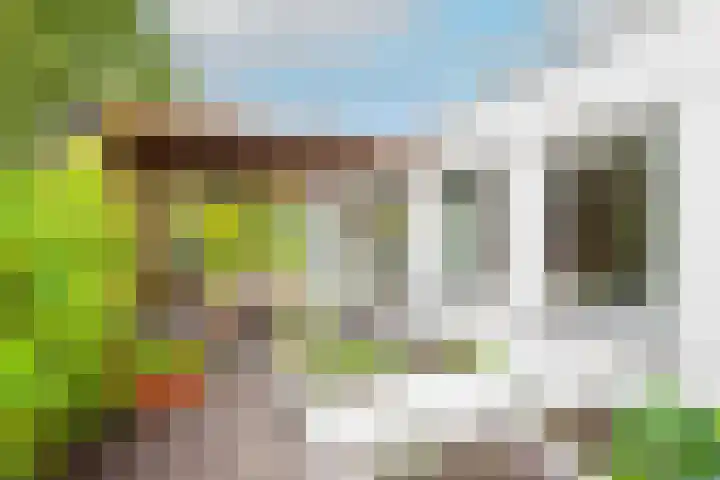Lijster 3 a Spanbroek thumbnail 6