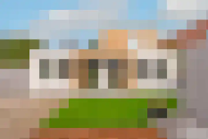 Lijster 3 a Spanbroek thumbnail 7