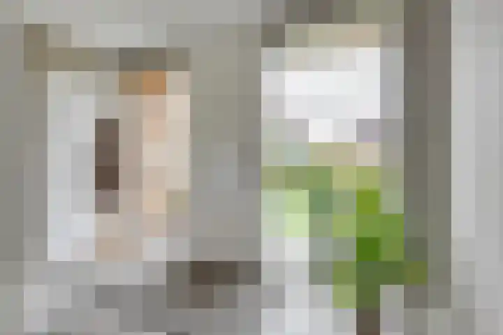 Lijster 3 a Spanbroek thumbnail 8