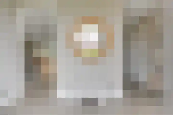Lijster 3 a Spanbroek thumbnail 9