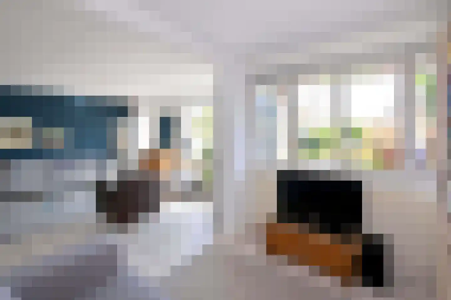 Lijster 3 Deventer thumbnail 10