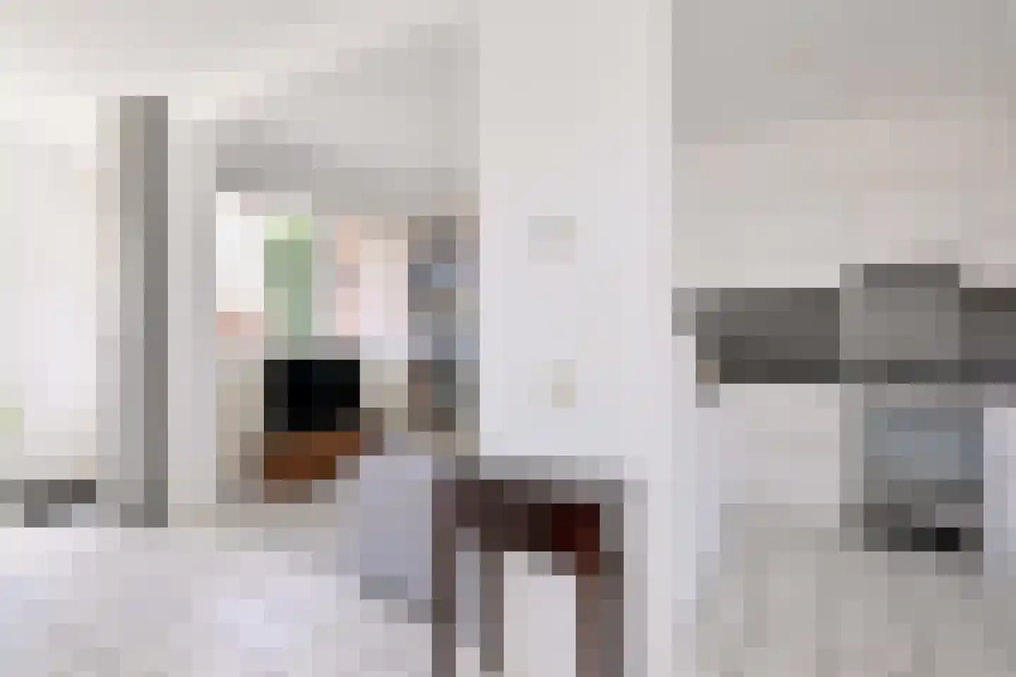 Lijster 3 Deventer thumbnail 12