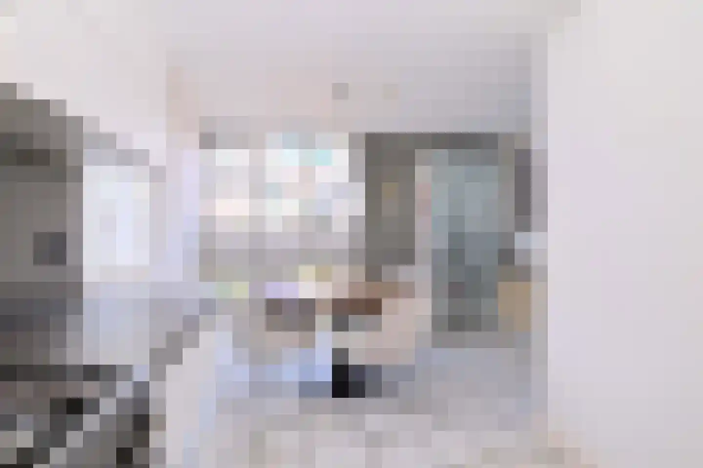 Lijster 3 Deventer thumbnail 14