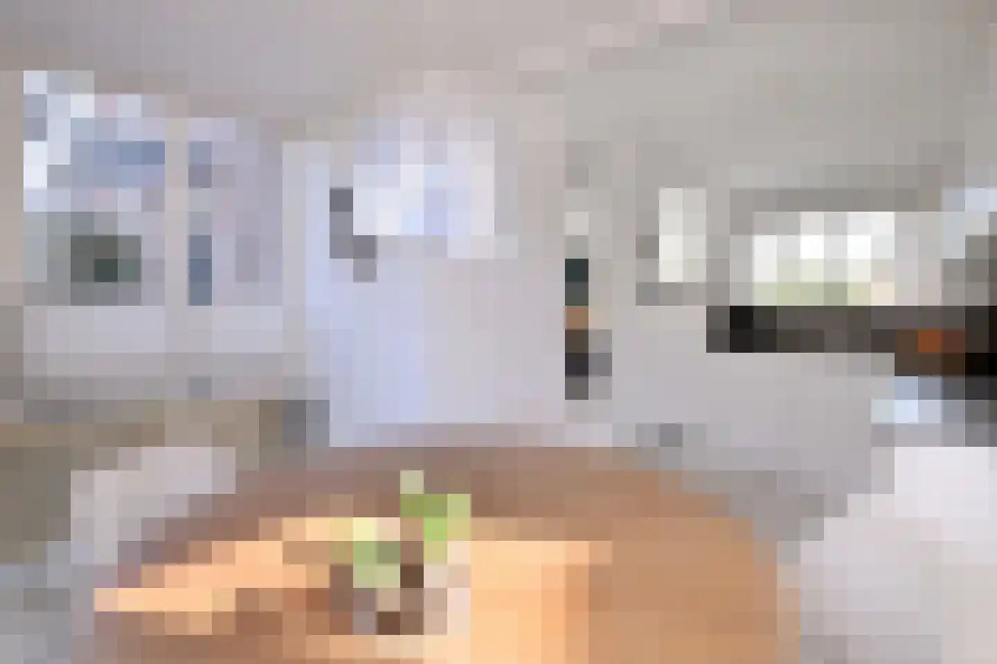 Lijster 3 Deventer thumbnail 15