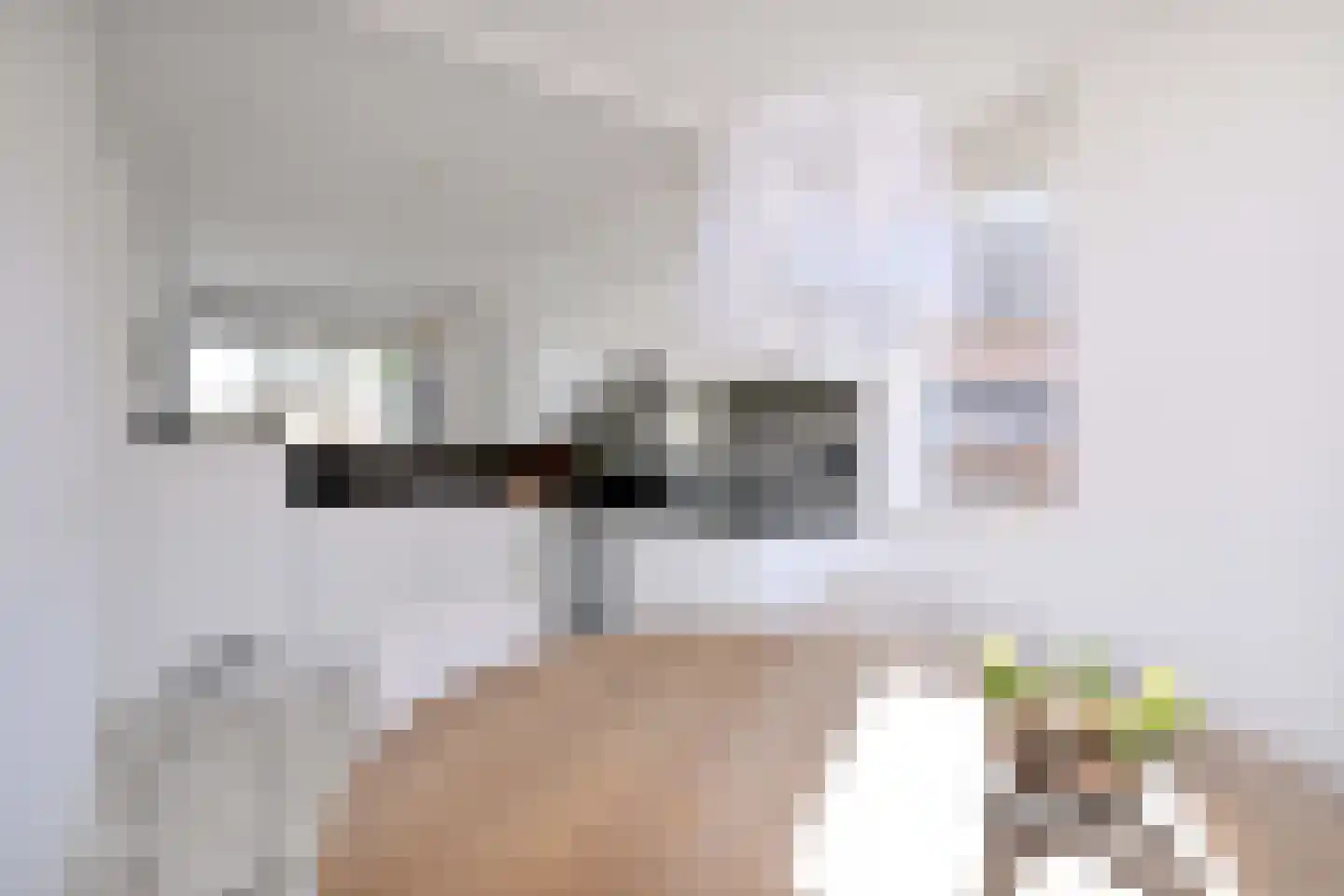 Lijster 3 Deventer thumbnail 16