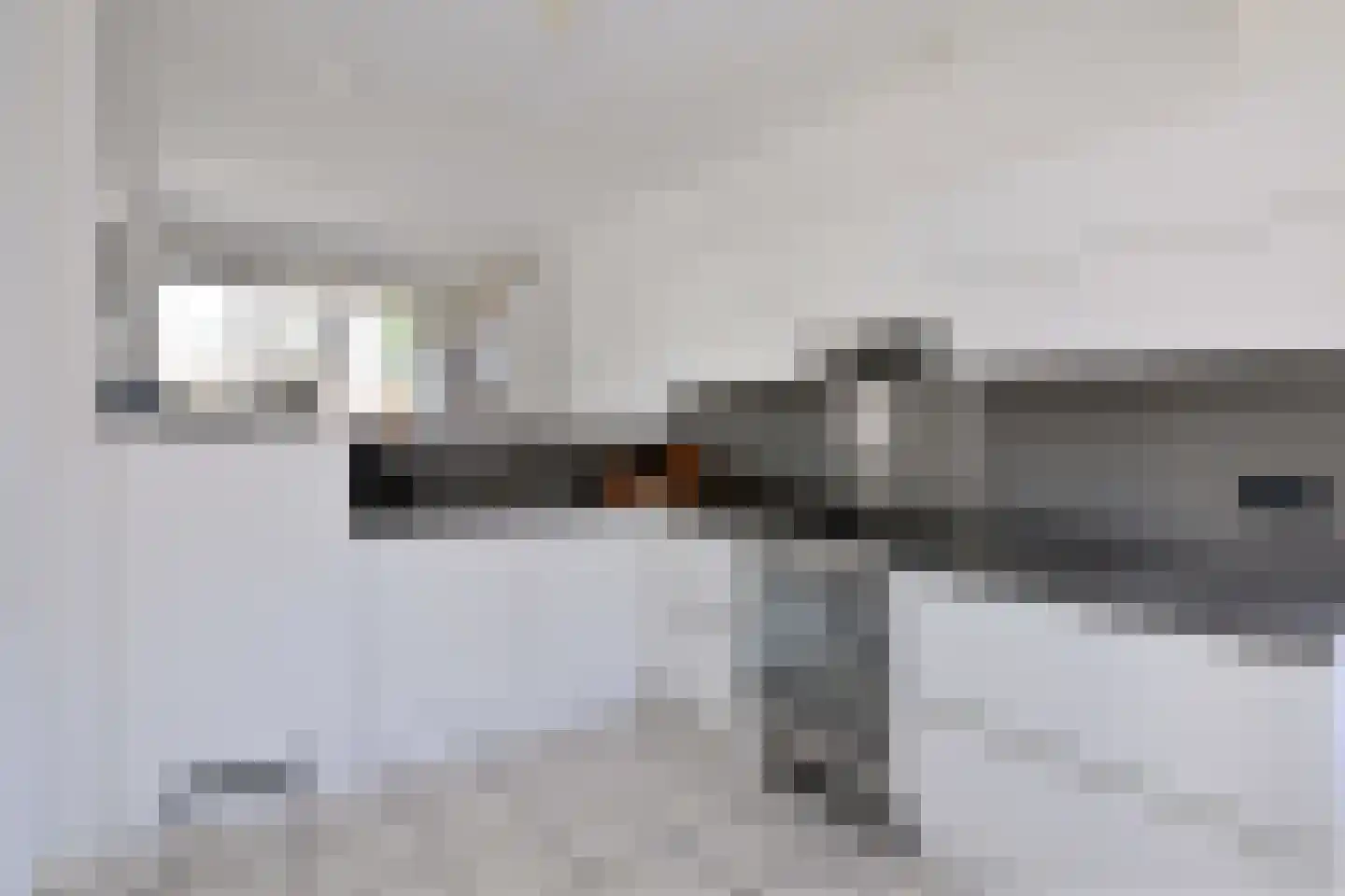 Lijster 3 Deventer thumbnail 17