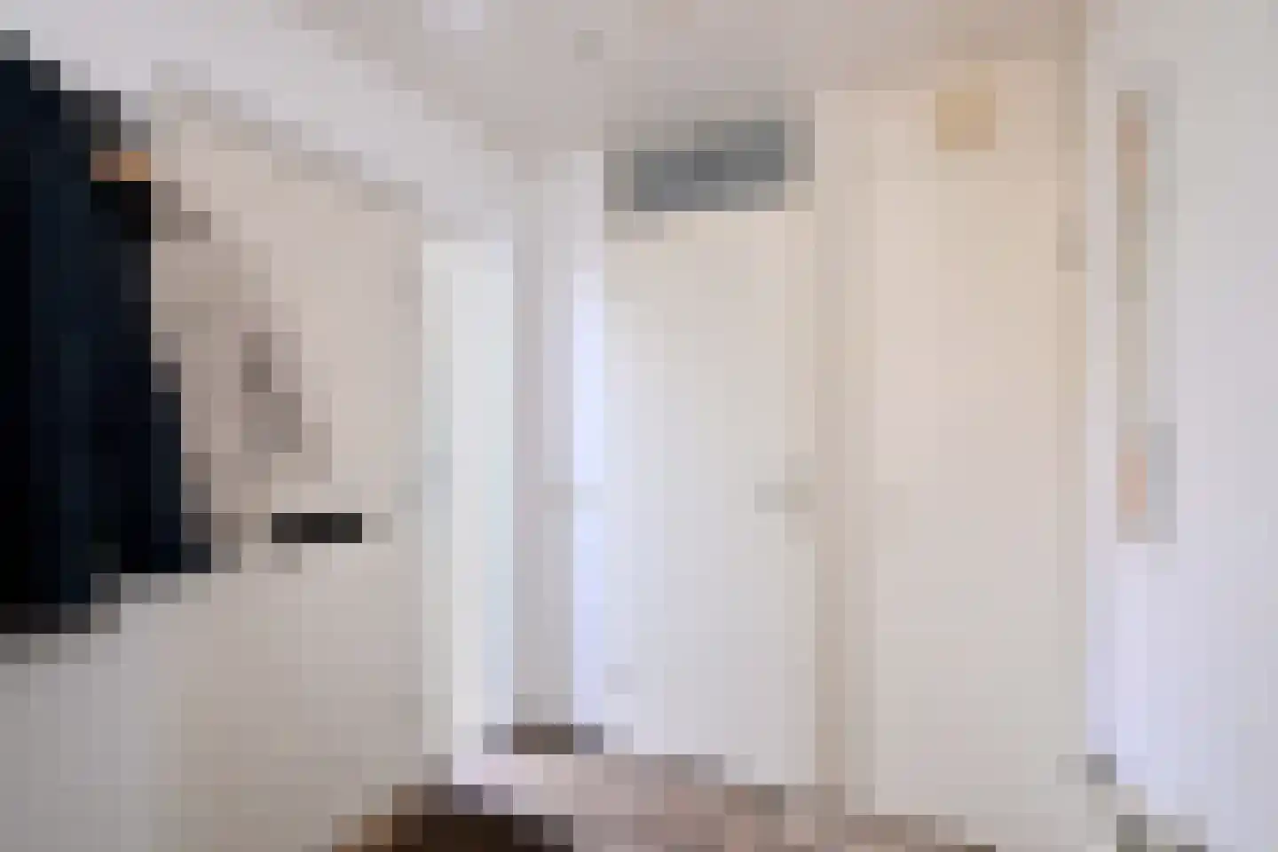 Lijster 3 Deventer thumbnail 18