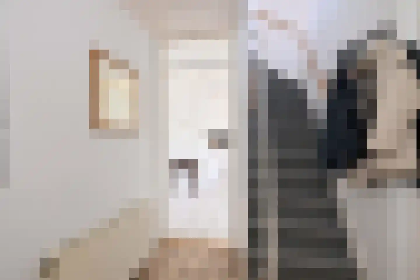 Lijster 3 Deventer thumbnail 20