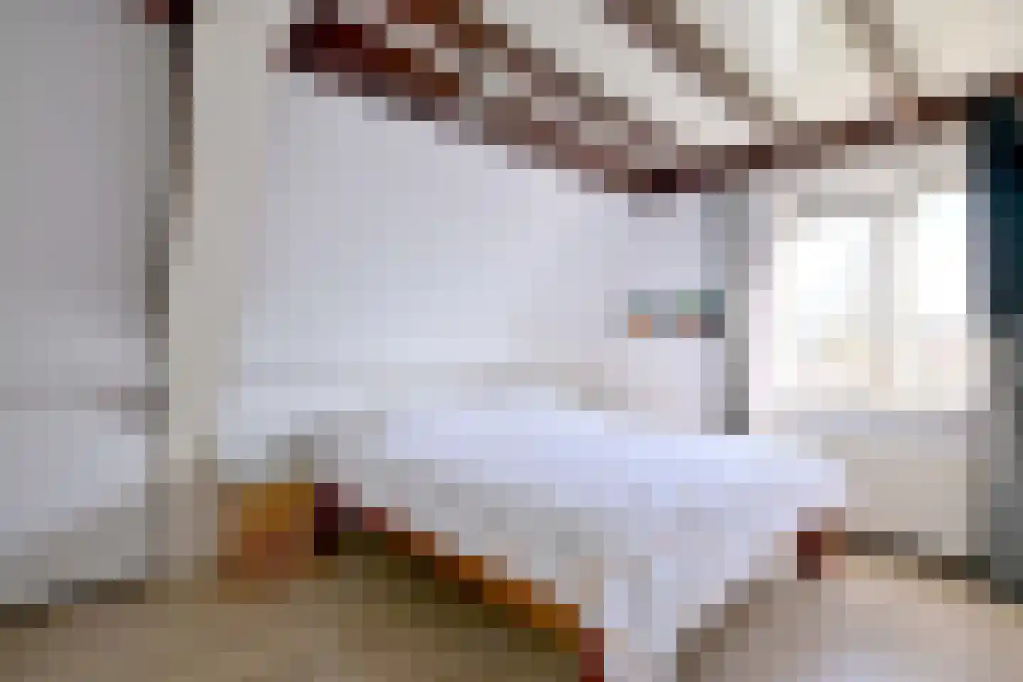 Lijster 3 Deventer thumbnail 22