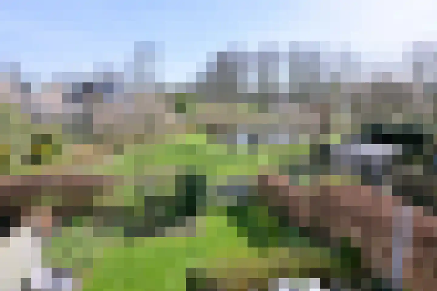 Lijster 3 Deventer thumbnail 23