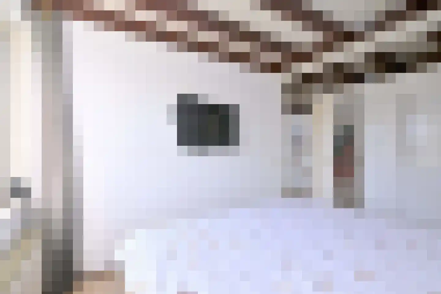 Lijster 3 Deventer thumbnail 24