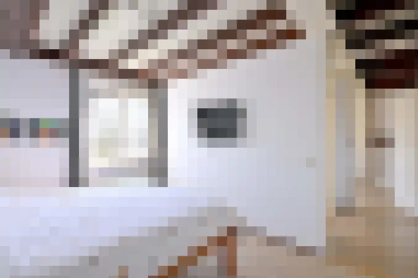 Lijster 3 Deventer thumbnail 25