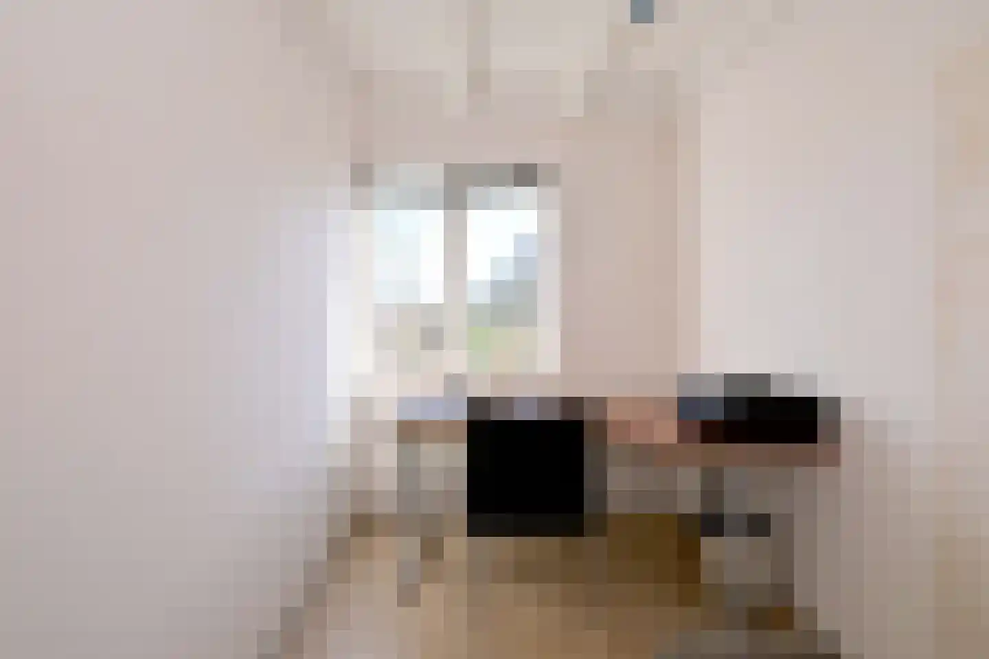 Lijster 3 Deventer thumbnail 27