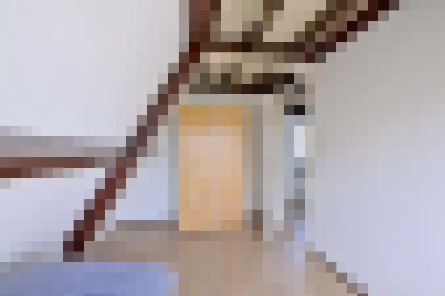 Lijster 3 Deventer thumbnail 30