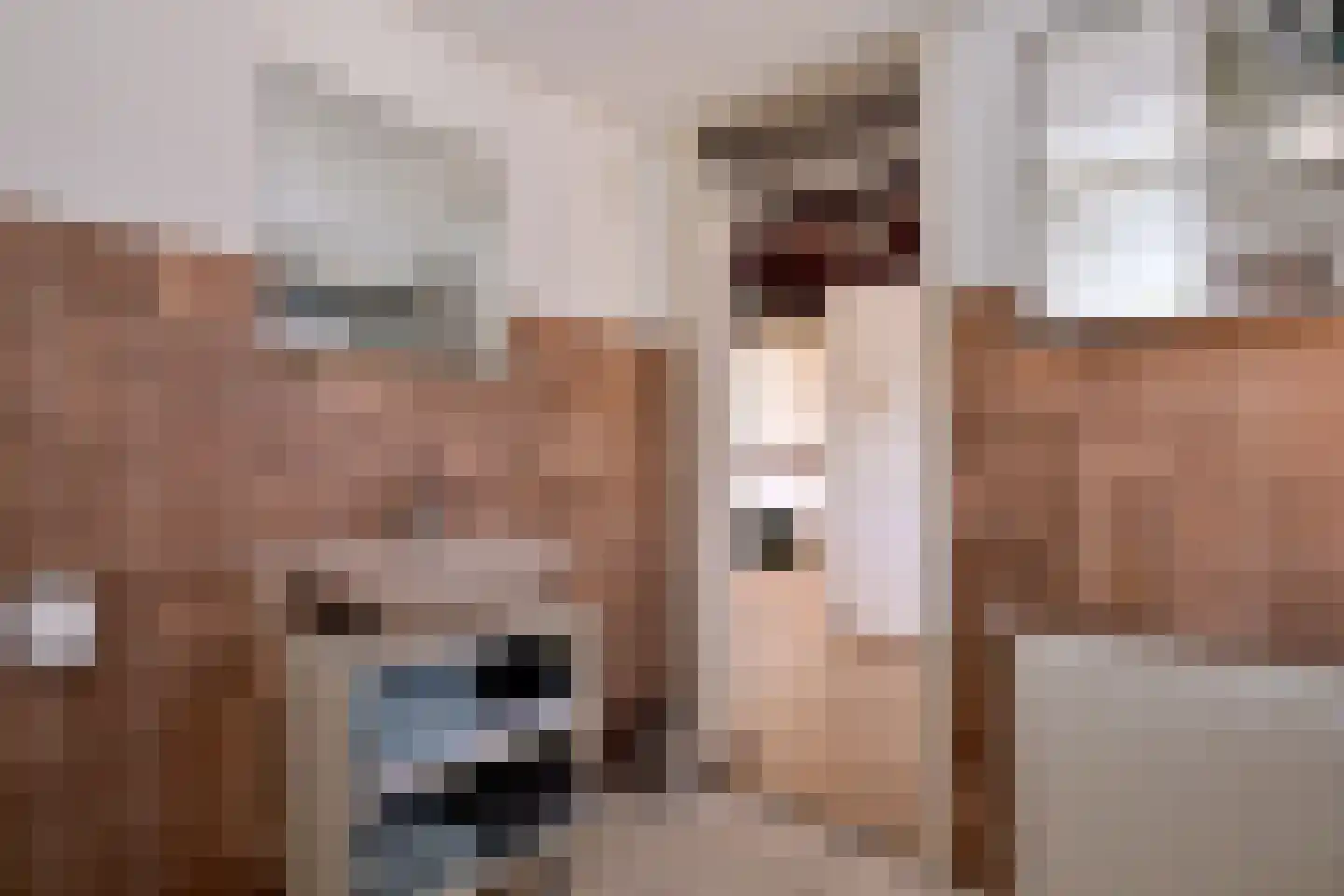 Lijster 3 Deventer thumbnail 33
