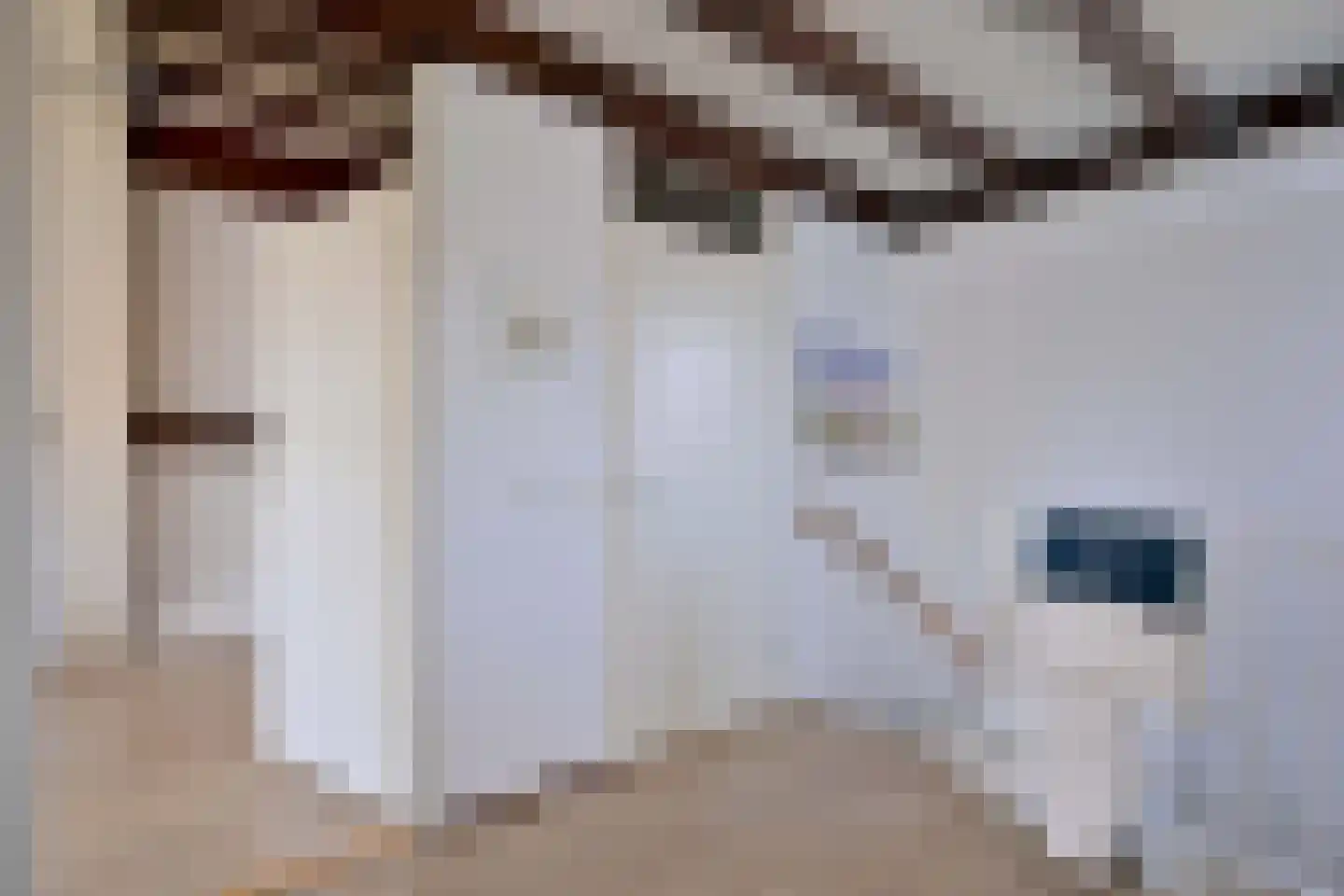 Lijster 3 Deventer thumbnail 34