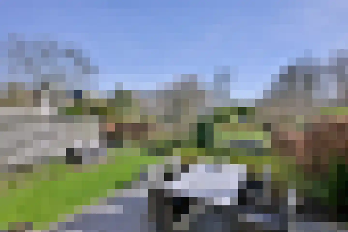 Lijster 3 Deventer thumbnail 35