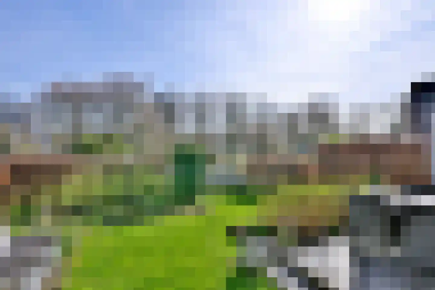 Lijster 3 Deventer thumbnail 37