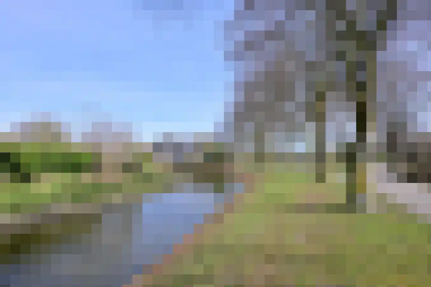 Lijster 3 Deventer thumbnail 45