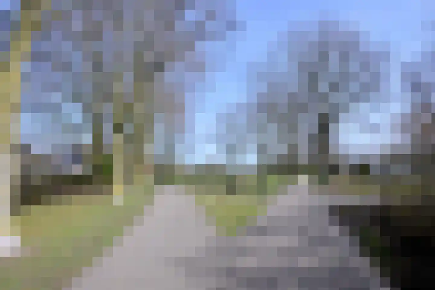 Lijster 3 Deventer thumbnail 46