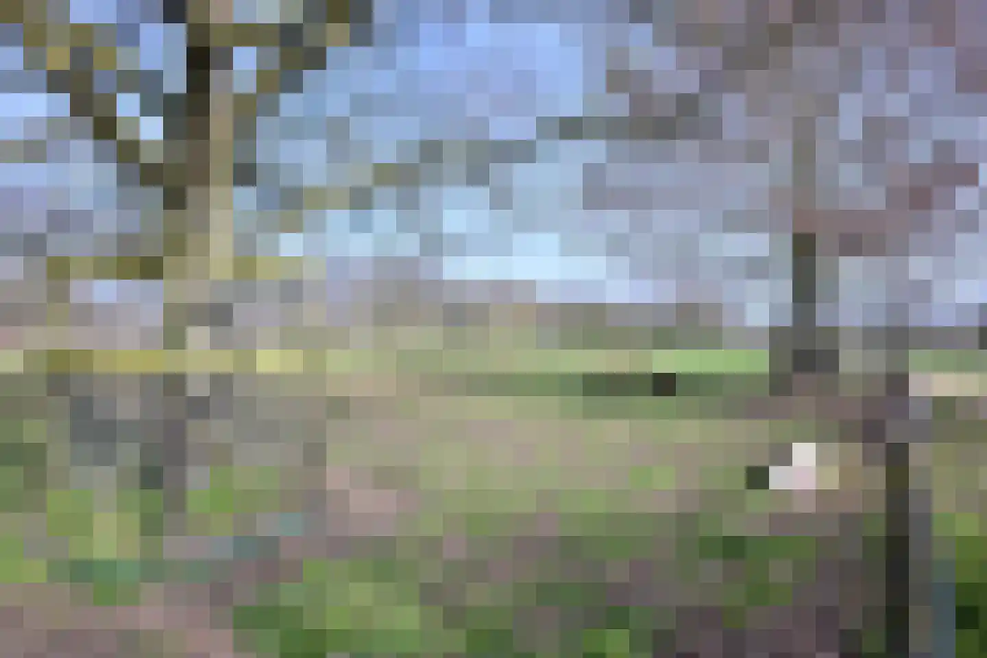 Lijster 3 Deventer thumbnail 48