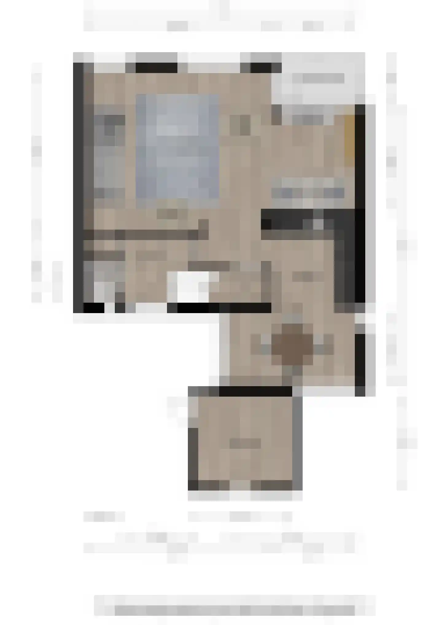 Lijster 3 Deventer thumbnail 50