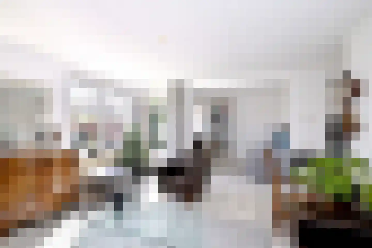 Lijster 3 Deventer thumbnail 8