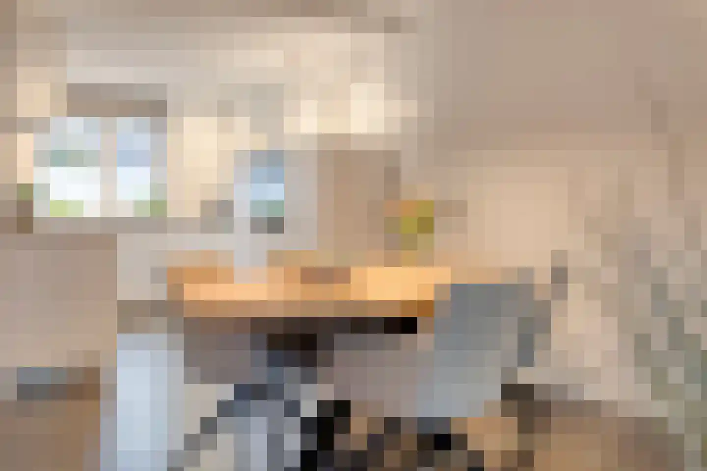 Lijster 3 Eijsden thumbnail 11
