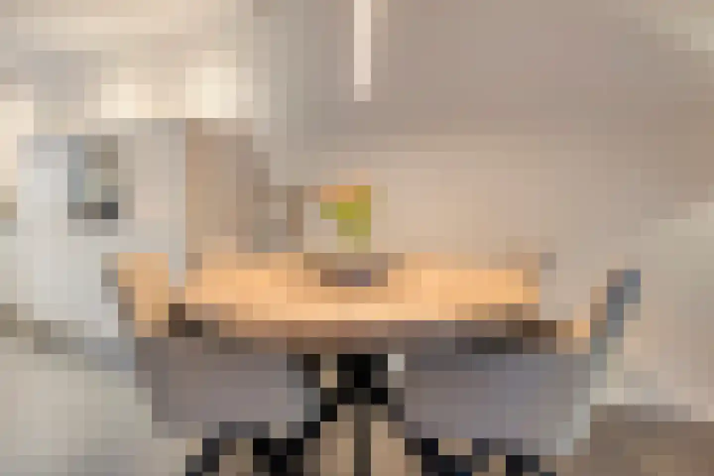 Lijster 3 Eijsden thumbnail 13