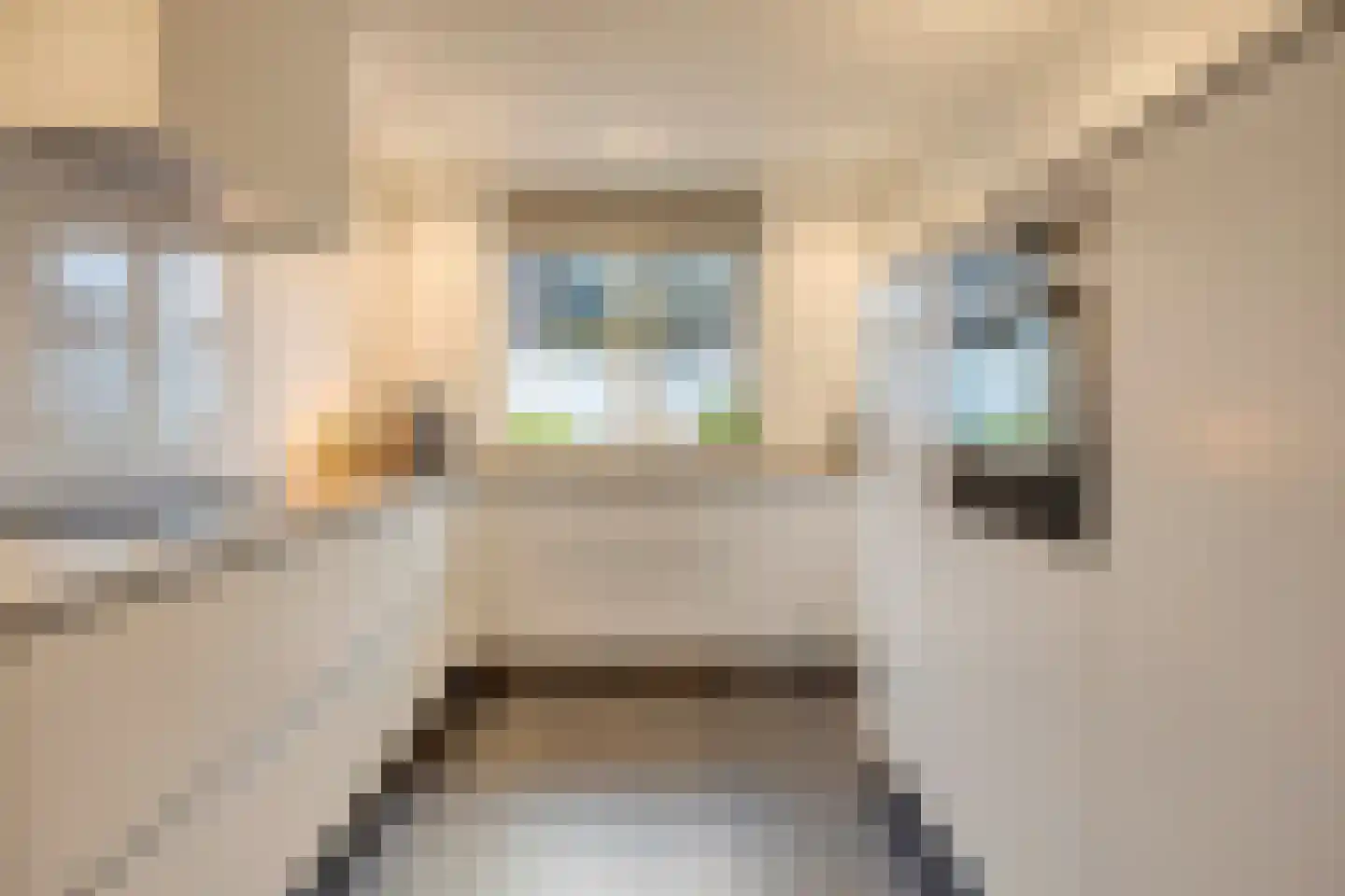 Lijster 3 Eijsden thumbnail 15