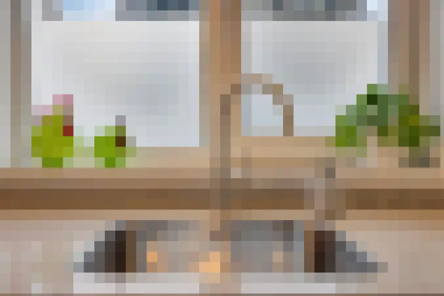 Lijster 3 Eijsden thumbnail 17