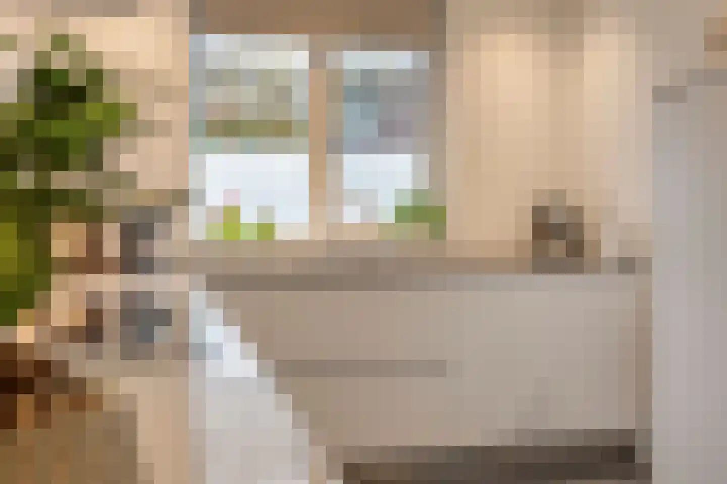 Lijster 3 Eijsden thumbnail 20