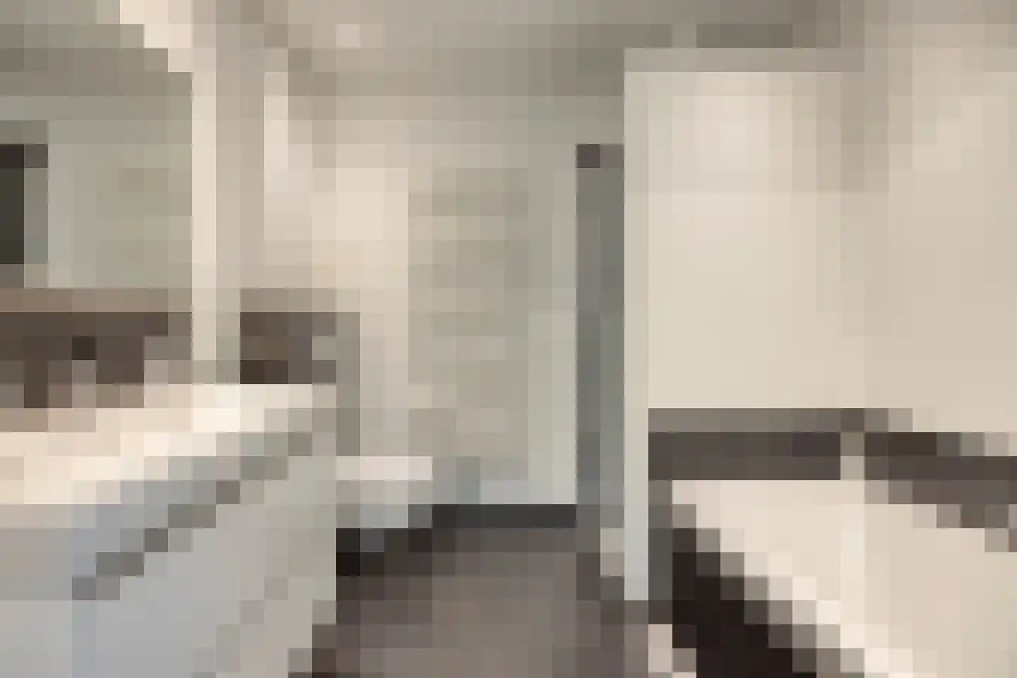 Lijster 3 Eijsden thumbnail 24