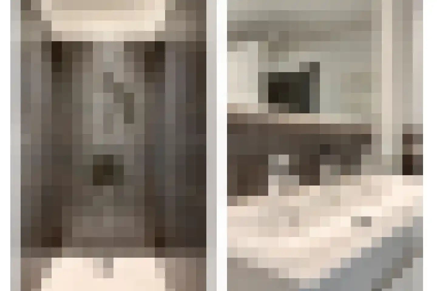 Lijster 3 Eijsden thumbnail 26