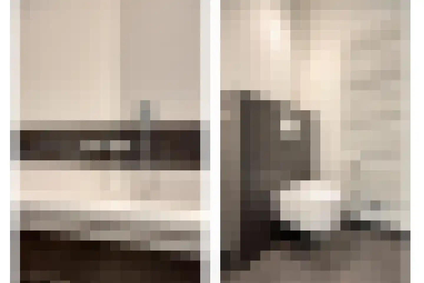 Lijster 3 Eijsden thumbnail 27