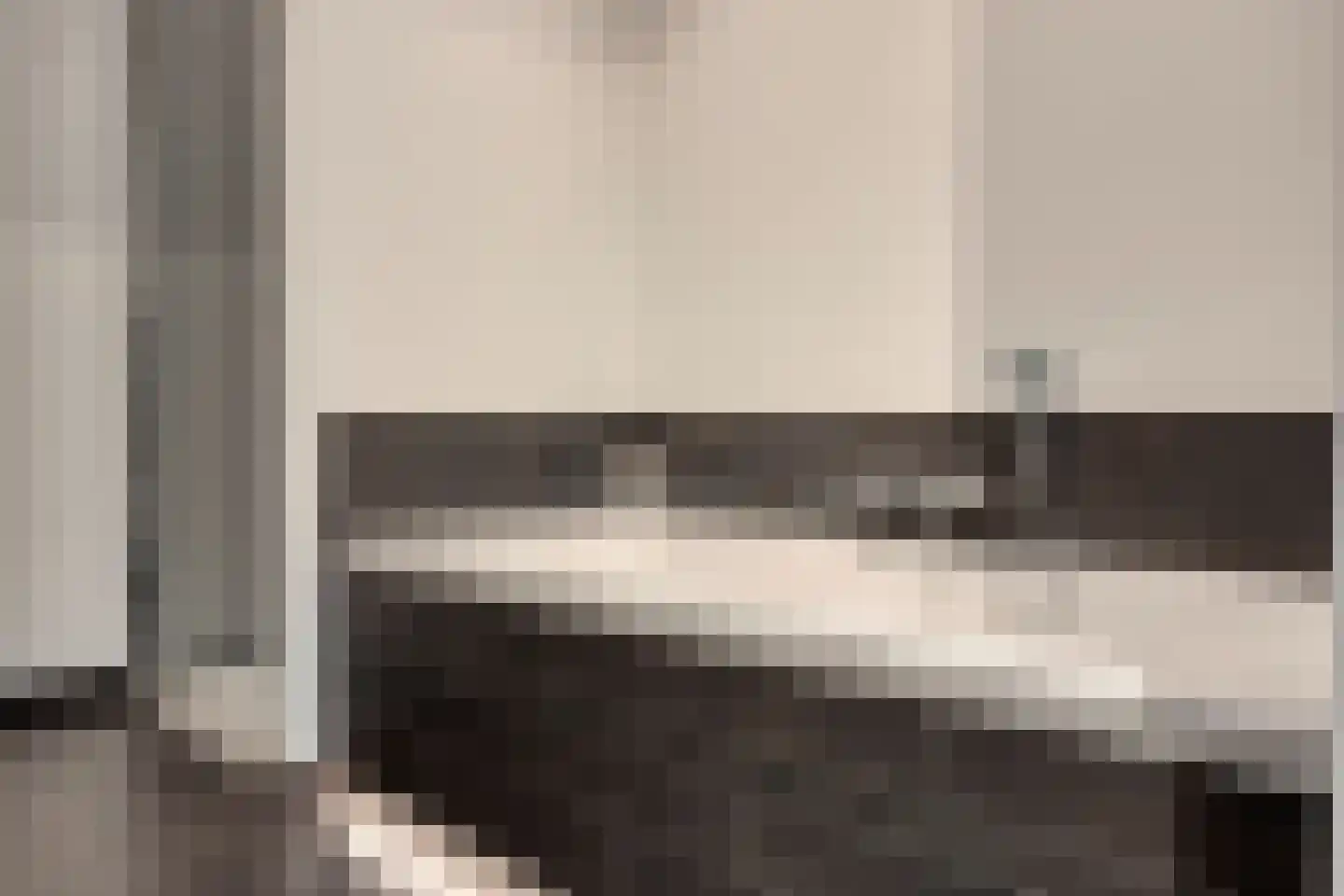 Lijster 3 Eijsden thumbnail 28