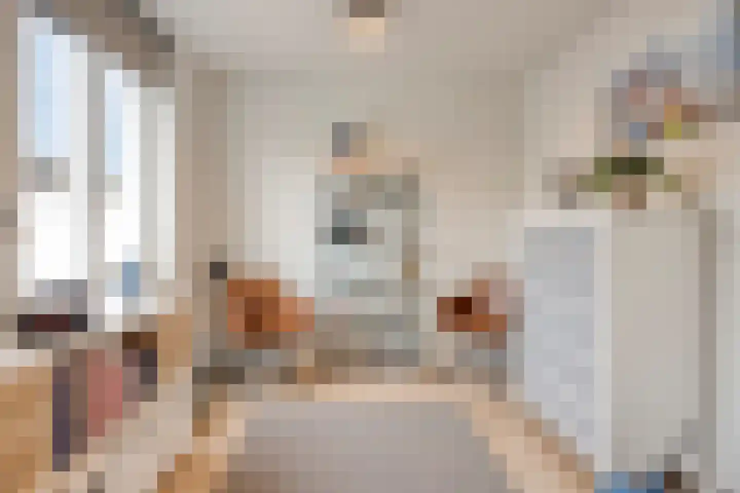 Lijster 3 Eijsden thumbnail 29