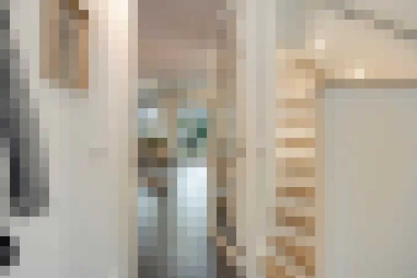 Lijster 3 Eijsden foto 3