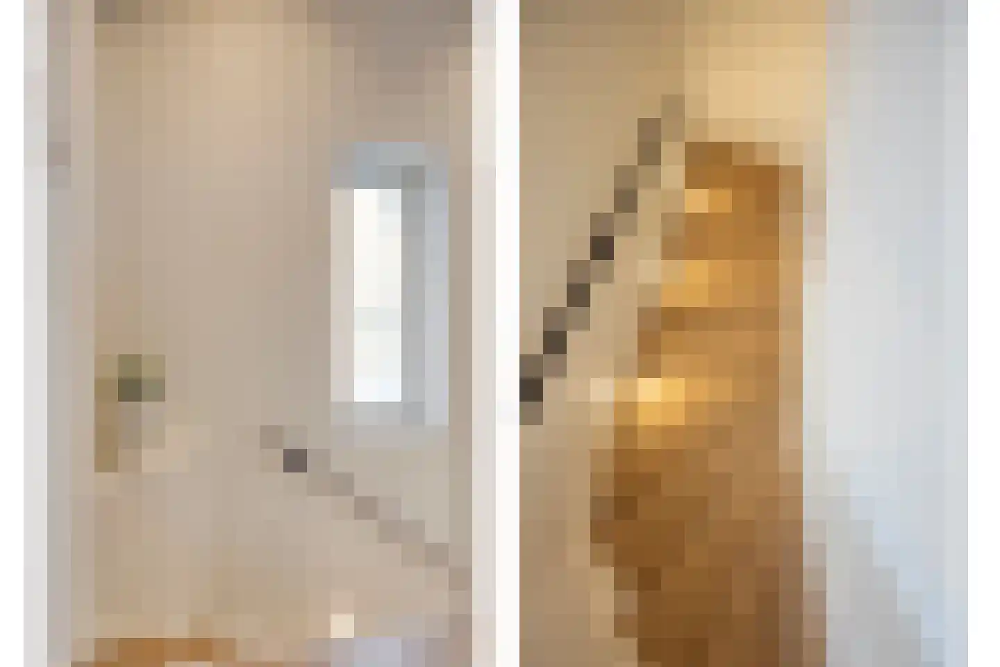 Lijster 3 Eijsden thumbnail 31